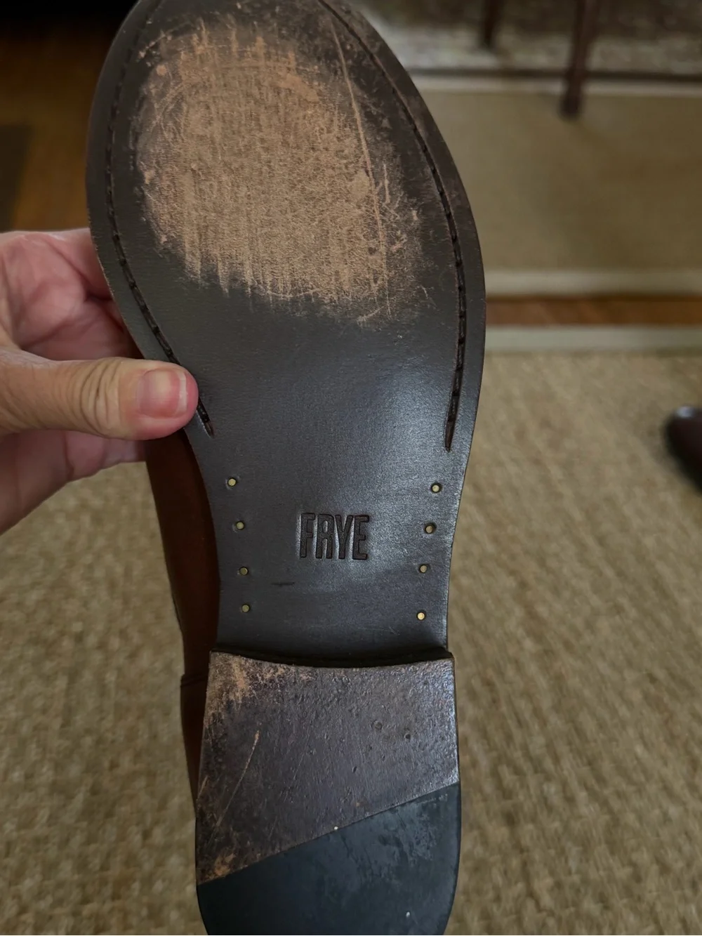 Frye Tall Leather Riding Boots in Brown